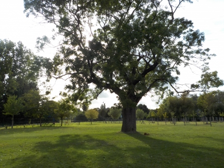 MARDI 9 SEPTEMBRE RENTREE 2025-26