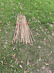 IMG_20250819_180707.jpg