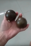 Boules kung-fu.jpg